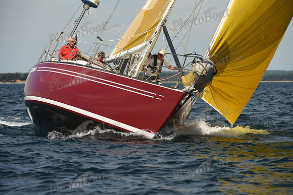 2016 Chester Race Week A_0205