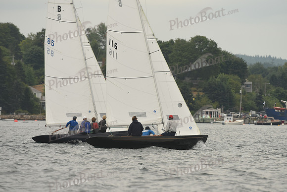2016 Chester Race Week D_0881
