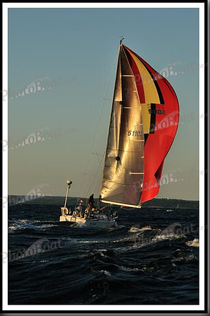proof_2010_Vineyard_Race_2175