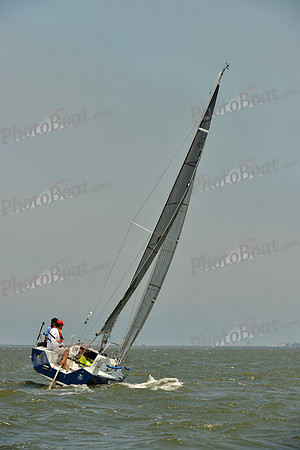 2016 Southern Bay Race Week A_1561
