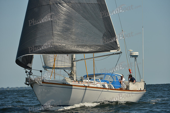 2015 Vineyard Race C 344