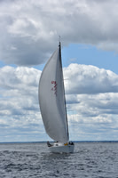 2021 Vineyard Race A 1231