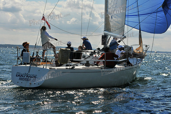 2010 IRC LIS 1559