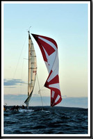 proof_2010_Vineyard_Race_2342