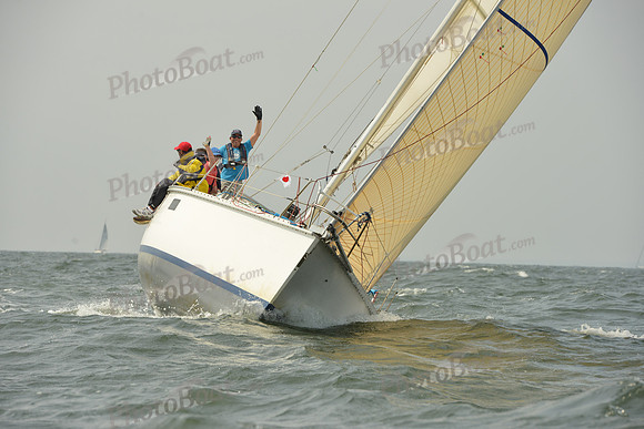 2015 Vineyard Race A 342