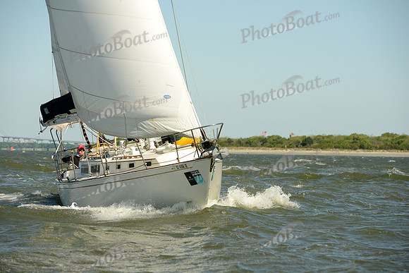 2016 Charleston Race Week E_0273