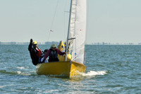 2012 Thistle Midwinters A 796