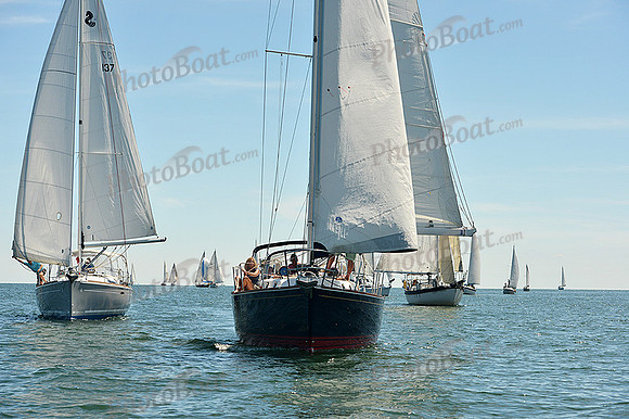 2015 Cape Charles Cup A 1019