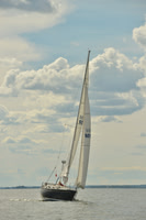2016 Vineyard Race A_1735