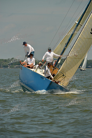 2016 Southern Bay Race Week F_0955
