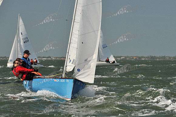 2012 Thistle Midwinters B 580