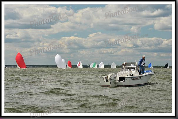 proof_2010_EScows_B 1042