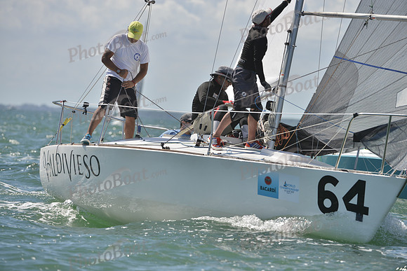 2019 J24 Worlds C_0242