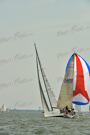 2016 Southern Bay Race Week F_0272