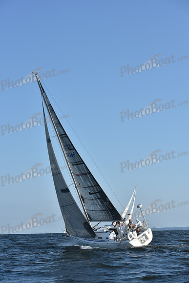 2019 ALIR_1809