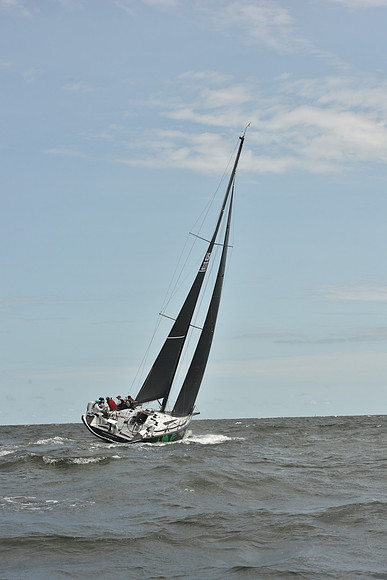 2024 Vineyard Race A_2106