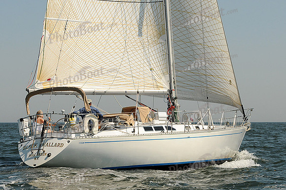 2012 Vineyard Race A 412