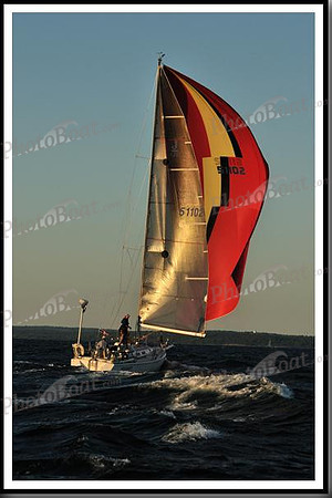 proof_2010_Vineyard_Race_2173