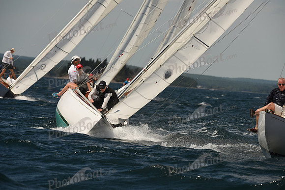 2016 Chester Race Week A_1208