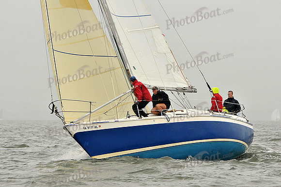 2014 Southern Bay Race Week A 290