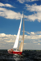 2014 Vineyard Race A 520