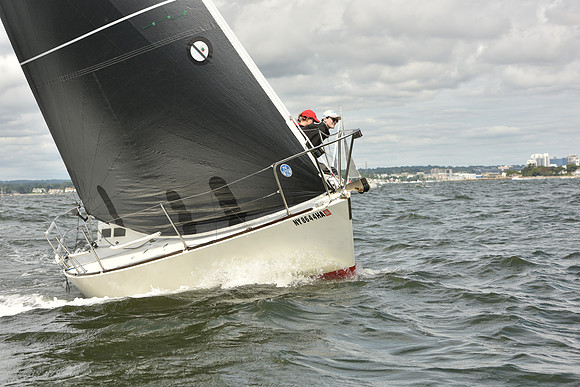 2024 Vineyard Race A_1360