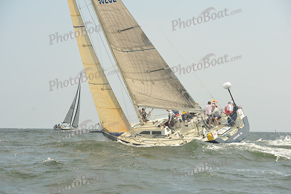 2015 Vineyard Race B 097