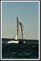 proof_2010_Vineyard_Race_1784