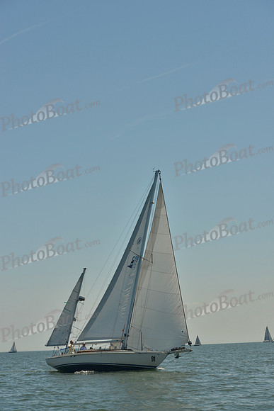 2017 Southern Bay Race Week B_1145