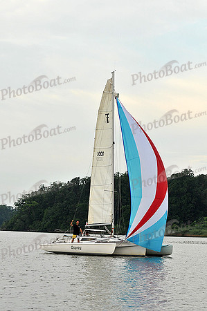 2013 Gov Cup C 343