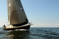 2011 Vineyard Race A 2002