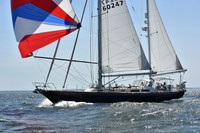 2019 Vineyard Race A_1896