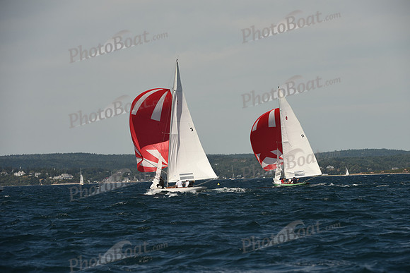 2016 Chester Race Week A_1255