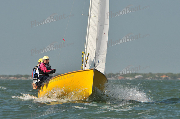 2012 Thistle Midwinters C 304