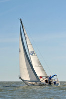 2014 Southern Bay Race Week D 369