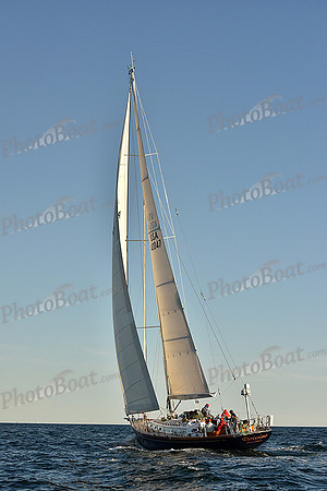 2016 Newport Bermuda Race_2383