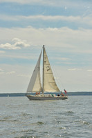 2016 Vineyard Race A_0966