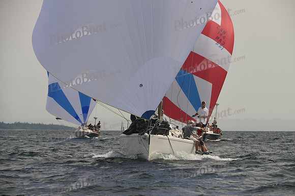 2016 Chester Race Week C_1437