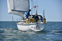 2019 Figawi_0610