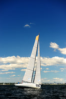 2014 Vineyard Race A 710