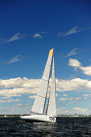 2014 Vineyard Race A 710