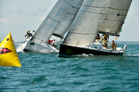 2016 NYYC Race Week A 808