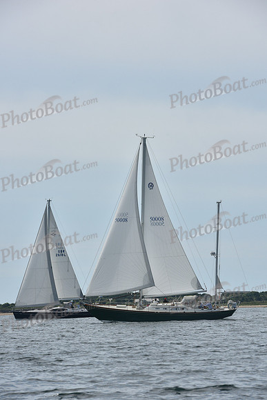 2019 Around Marthas Vineyard A_1259