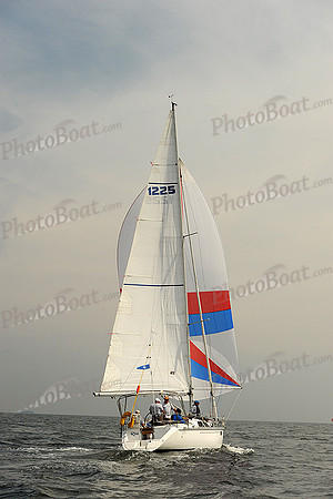 2013 Vineyard Race A 541