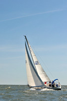 2014 Southern Bay Race Week D 370