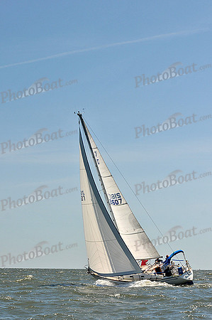 2014 Southern Bay Race Week D 370