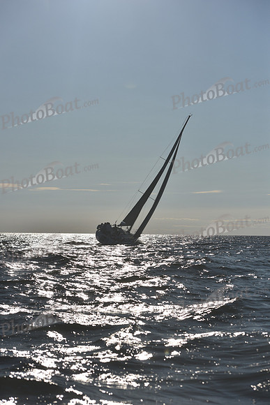 2021 Vineyard Race B 2781