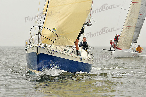 2014 Southern Bay Race Week A 296