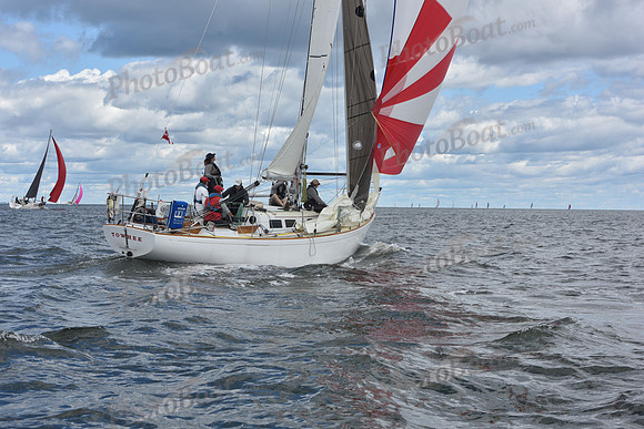 2021 Vineyard Race A 1163