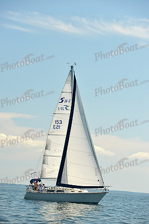 2015 Cape Charles Cup C 294